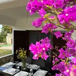 Hacienda Zk Villa
